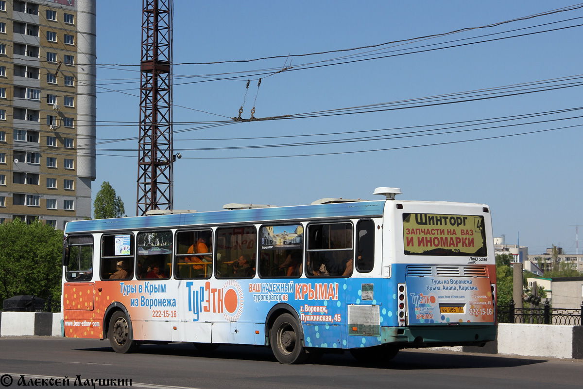 Воронежская область, ЛиАЗ-5256.36 № ВВ 085 36