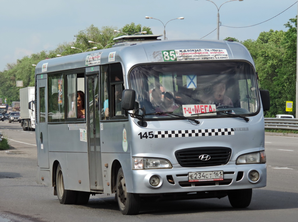 Ростовская область, Hyundai County LWB C09 (ТагАЗ) № 145