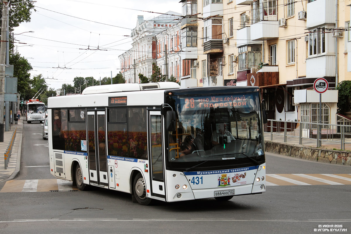 Krasnodar region, MAZ-206.086 č. 431 — Foto — Autobusová doprava