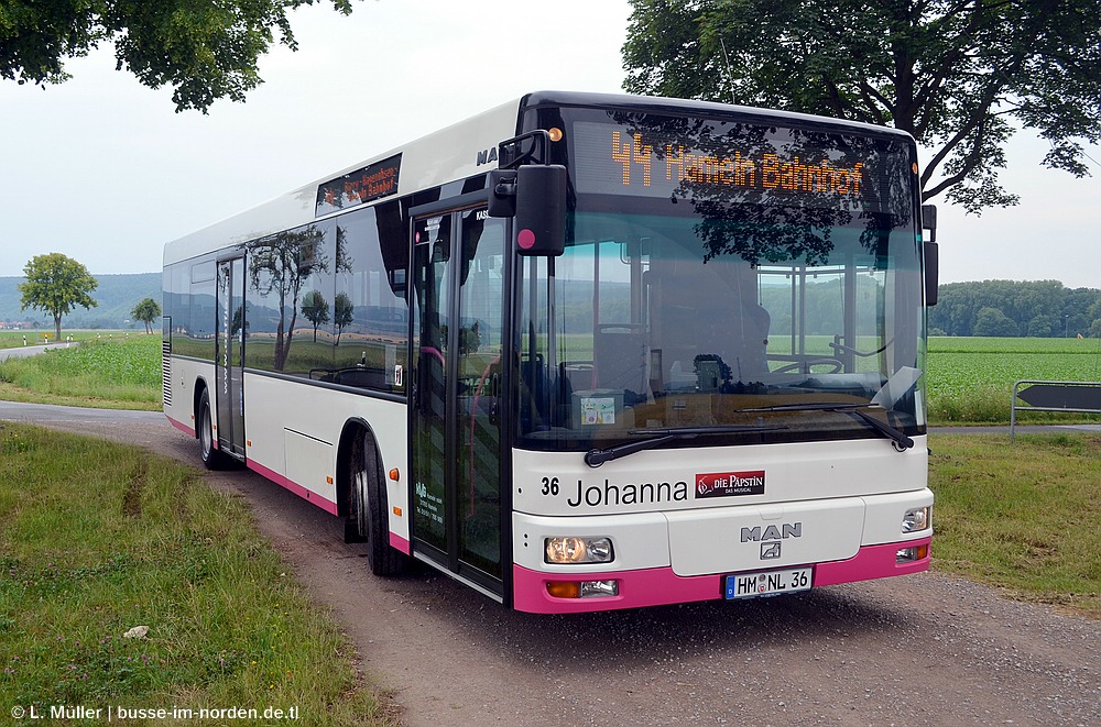 Niedersachsen, MAN A21 NL263 Nr. 36