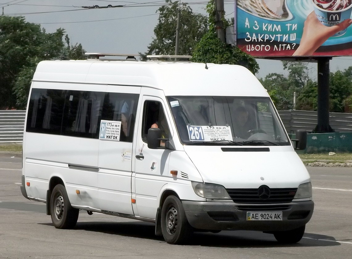 Днепропетровская область, Mercedes-Benz Sprinter W903 313CDI № AE 9024 AK