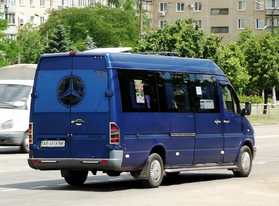 Днепропетровская область, Mercedes-Benz Sprinter W903 312D № AB 6858 BK