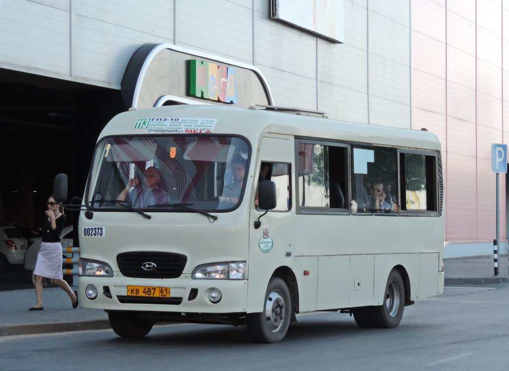 Ростовская область, Hyundai County SWB C08 (РЗГА) № 002373