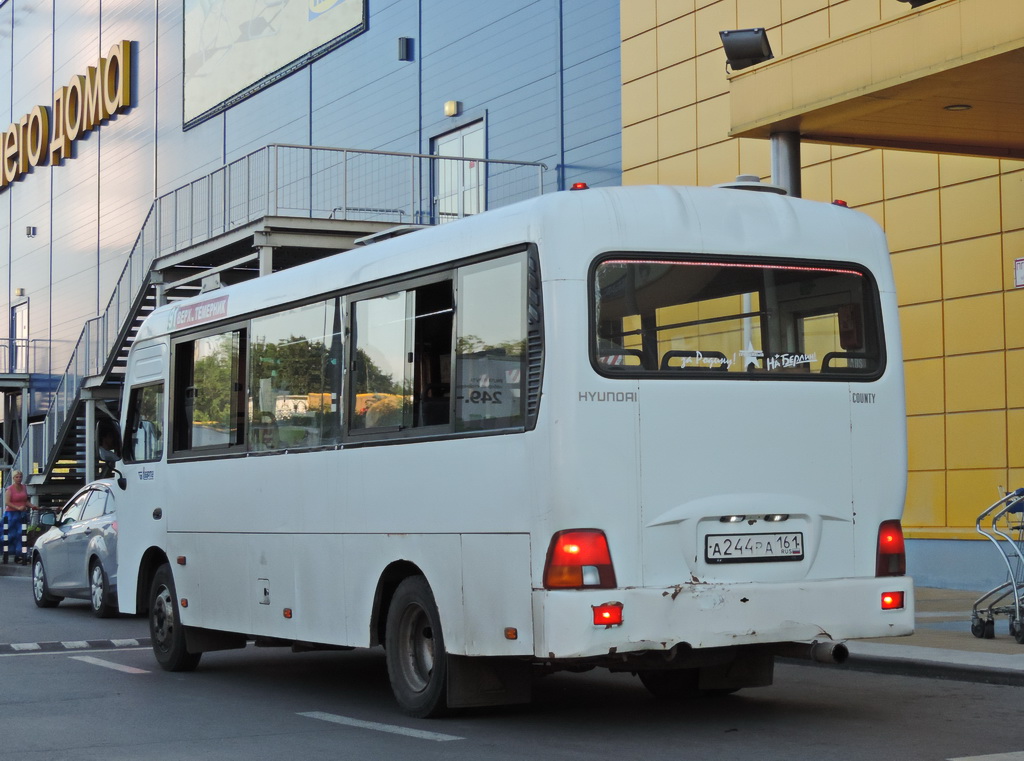 Ростовская область, Hyundai County LWB C09 (ТагАЗ) № А 244 РА 161