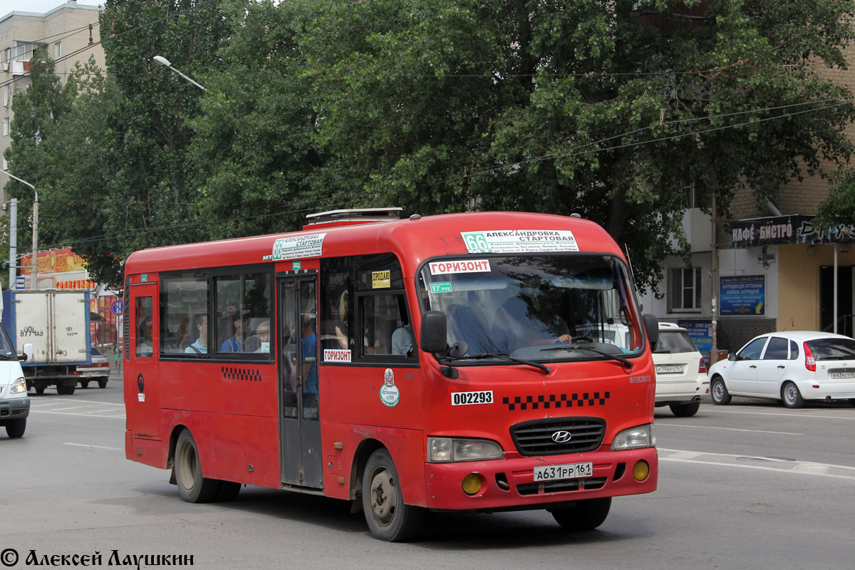 Ростовская область, Hyundai County LWB C11 (ТагАЗ) № 002293