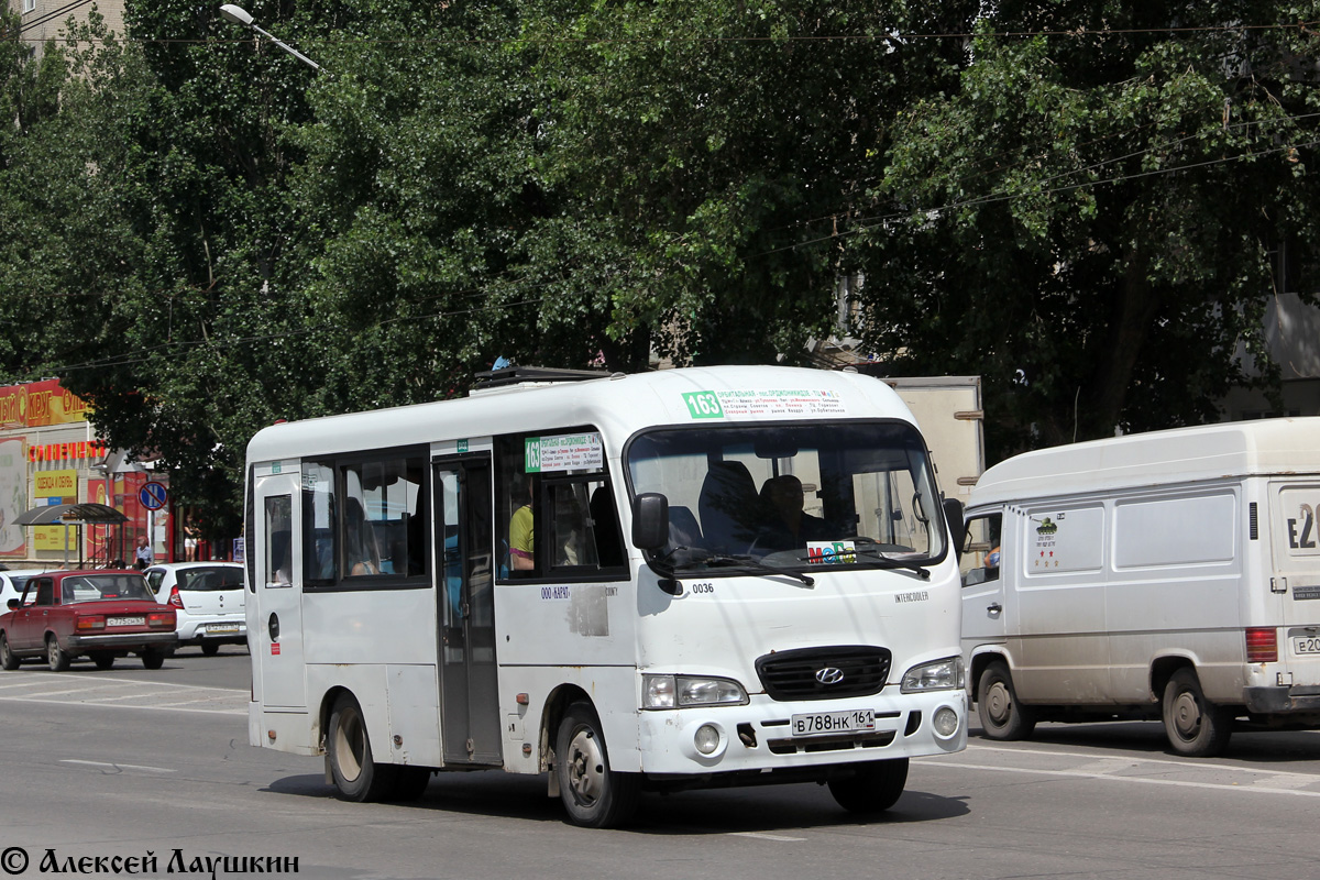 Ростовская область, Hyundai County SWB C08 (ТагАЗ) № 036