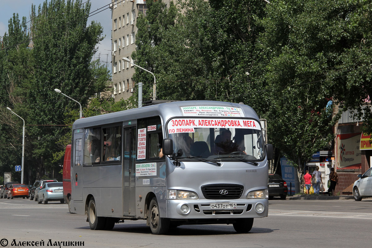 Ростовская область, Hyundai County LWB C11 (ТагАЗ) № 018