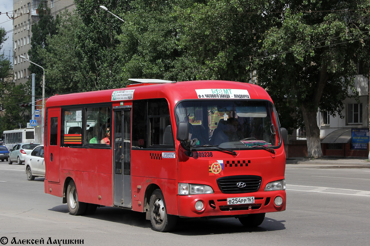 Ростовская область, Hyundai County LWB C11 (ТагАЗ) № 005238