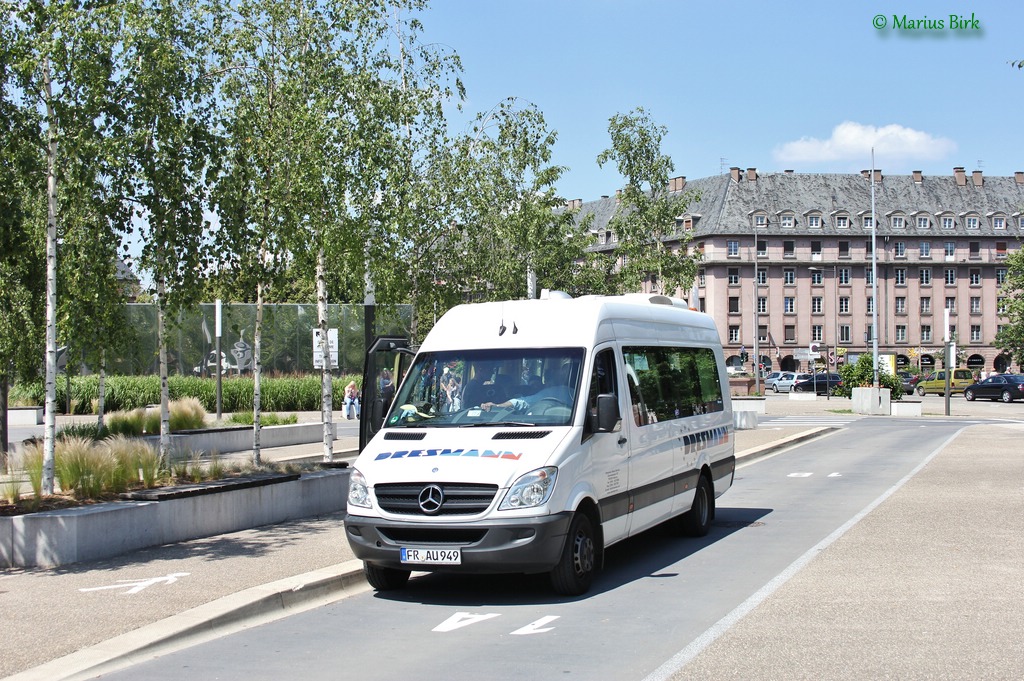 Баден-Вюртемберг, Mercedes-Benz Sprinter Transfer 45 № FR-AU 949