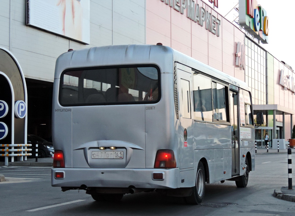 Ростовская область, Hyundai County LWB C11 (ТагАЗ) № 018