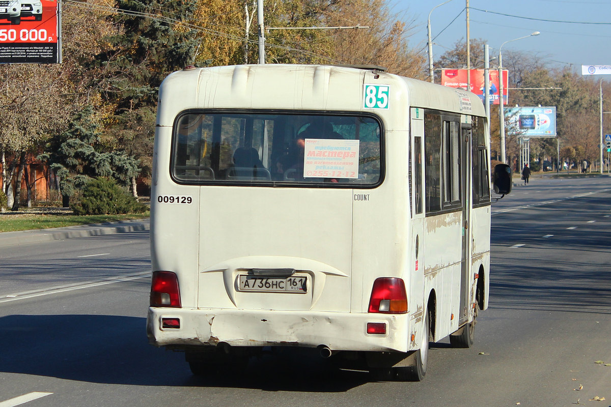 Ростовская область, Hyundai County LWB C09 (ТагАЗ) № 009129