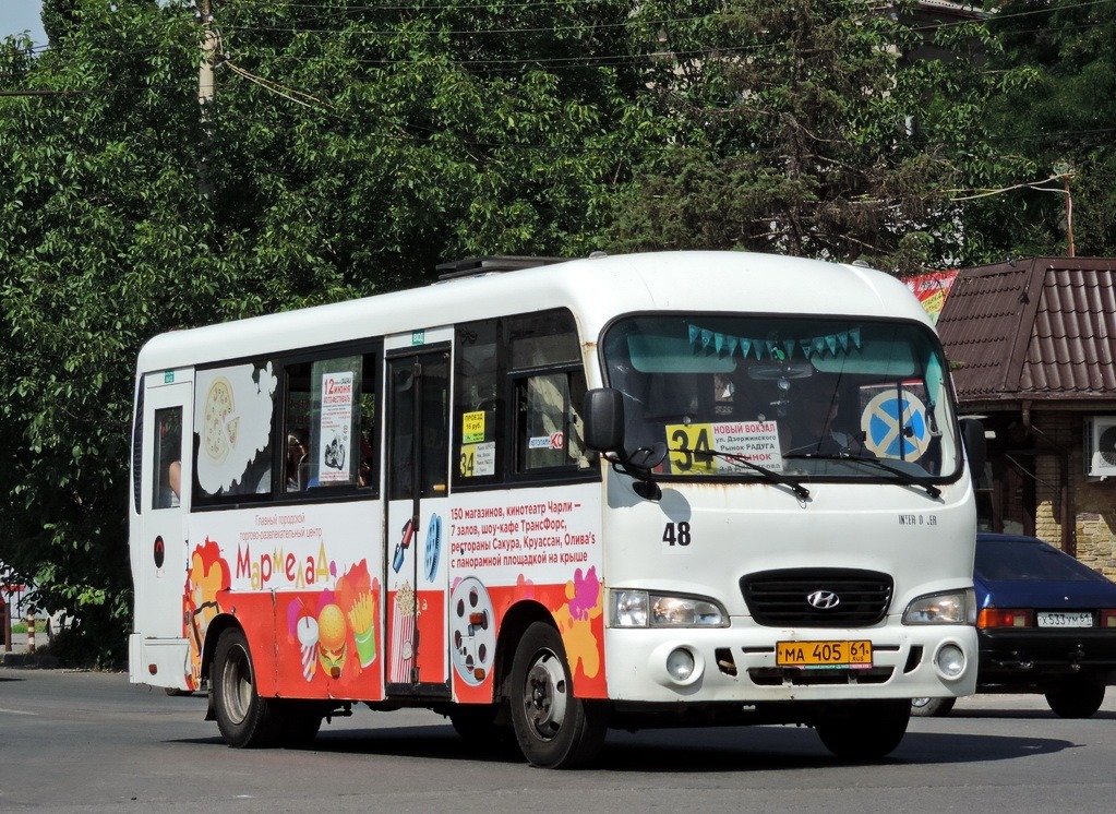 Ростовская область, Hyundai County LWB C09 (ТагАЗ) № 48