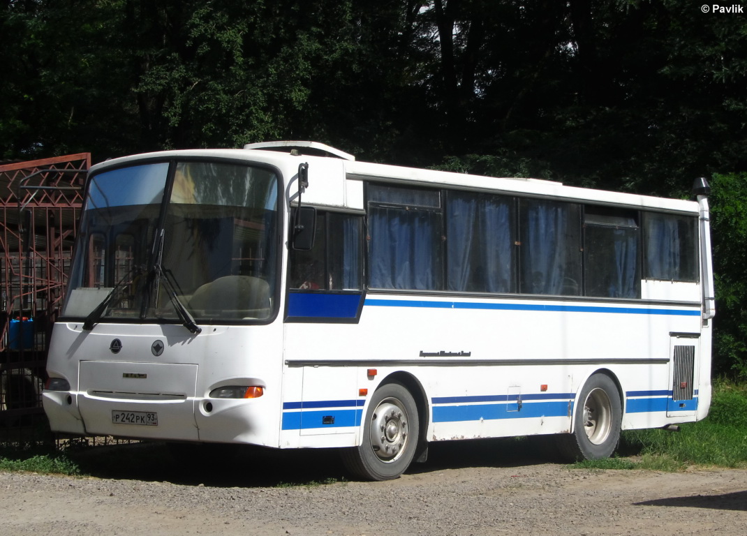 Ростовская область, ПАЗ-4230-03 (КАвЗ) № Р 242 РК 93