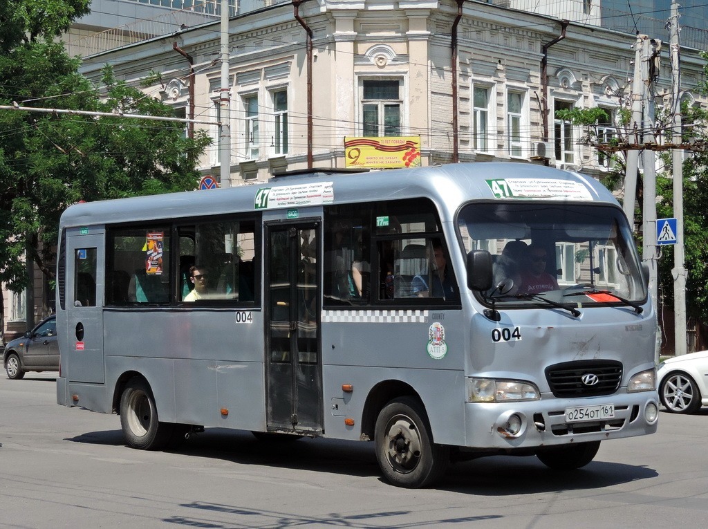 Ростовская область, Hyundai County LWB C11 (ТагАЗ) № 004