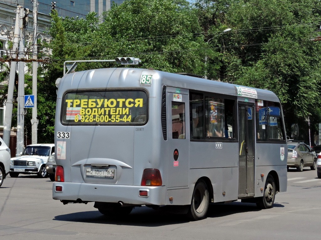 Ростовская область, Hyundai County SWB C08 (ТагАЗ) № 333