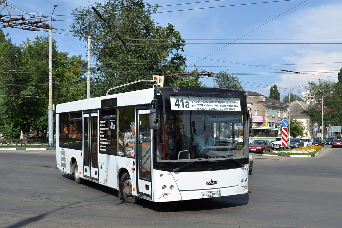 Белгородская область, МАЗ-206.060 № О 837 ВР 31