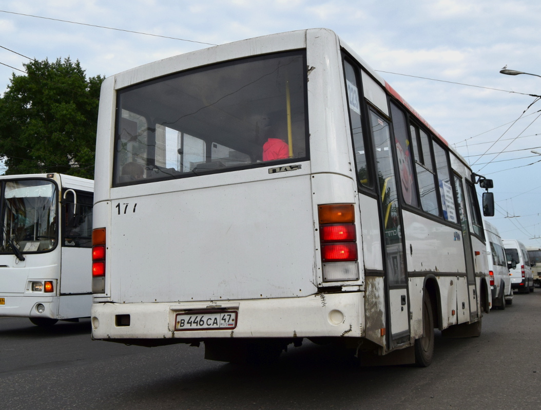 Тверская область, ПАЗ-320402-03 № В 446 СА 47