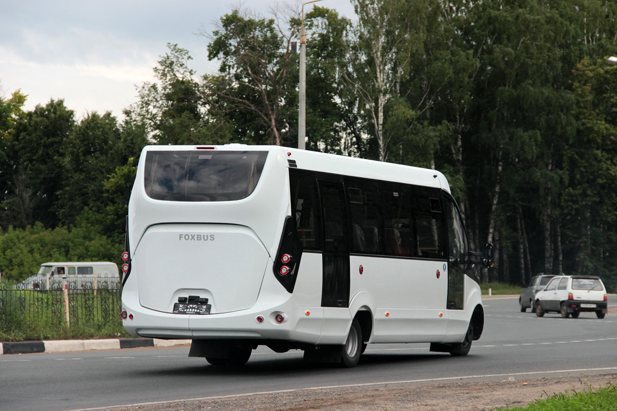 Нижегородская область — Новые автобусы