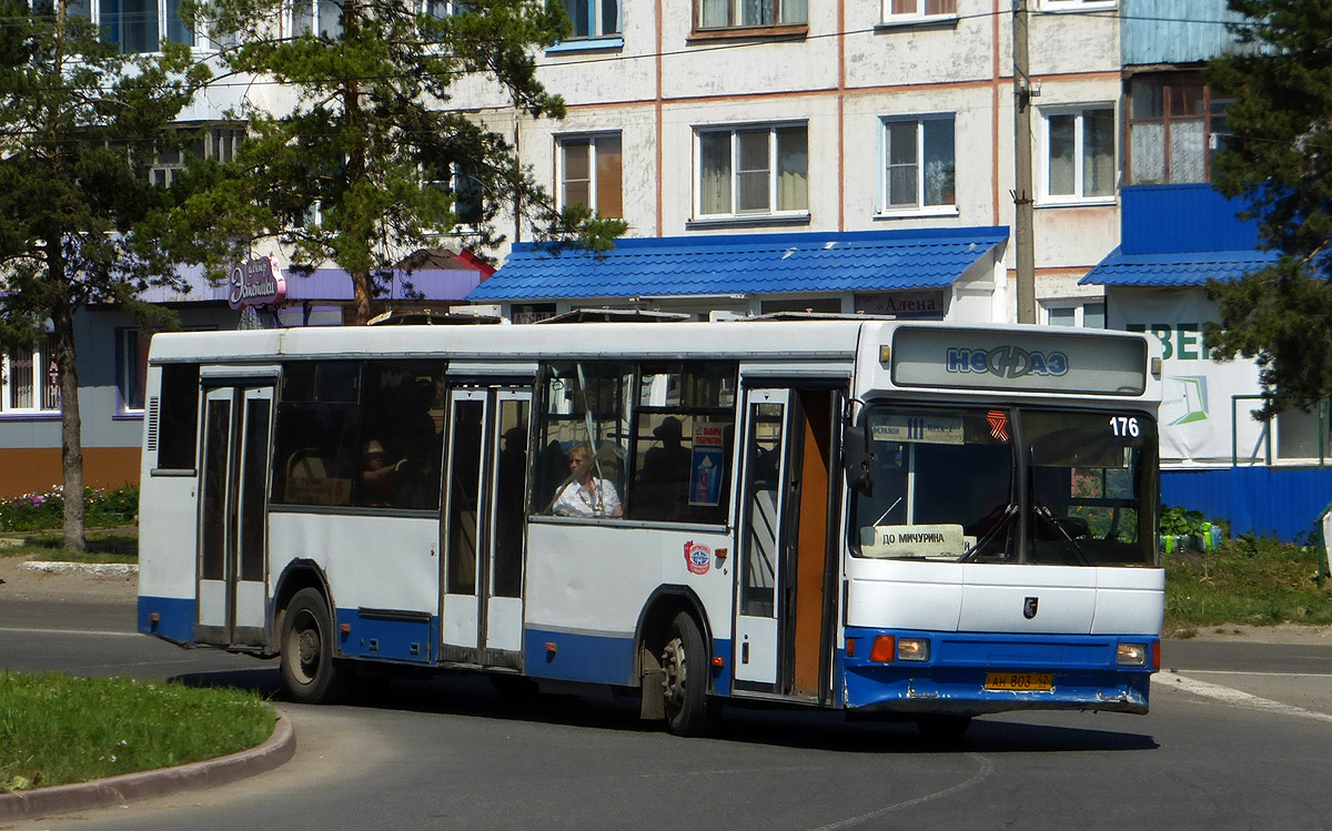 Kemerovo region - Kuzbass, NefAZ-5299 Nr. 176