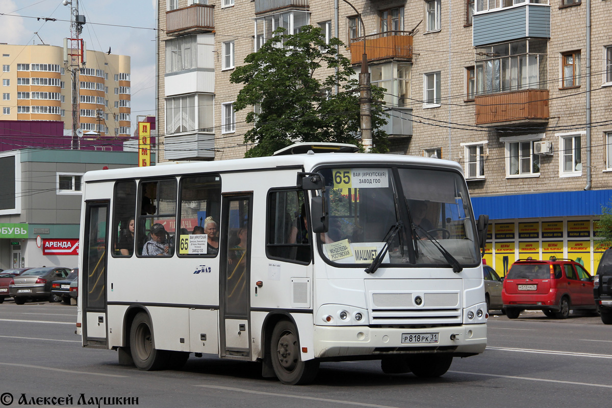 Воронежская область, ПАЗ-320302-08 № Р 818 РК 31