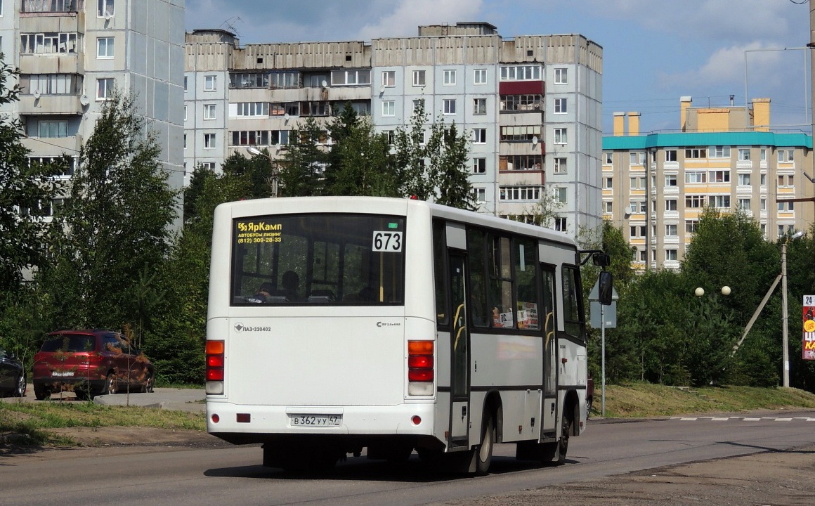 Ленинградская область, ПАЗ-320402-05 № 40