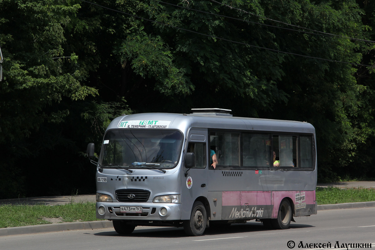 Ростовская область, Hyundai County LWB C09 (ТагАЗ) № 007209