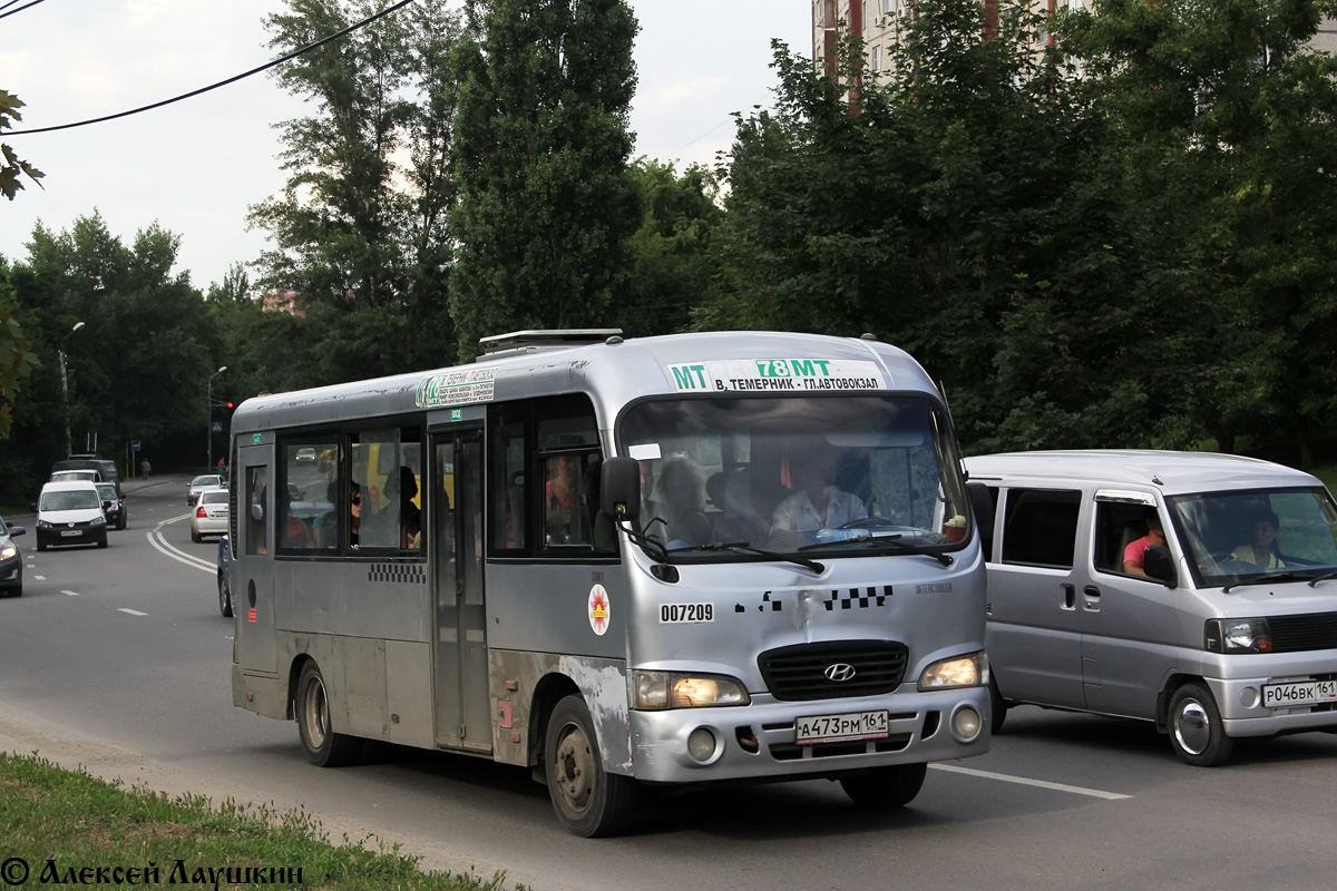 Ростовская область, Hyundai County LWB C09 (ТагАЗ) № 007209