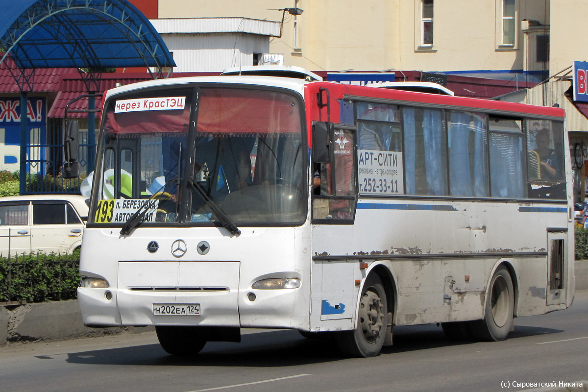 Автобус квз 33 82 800 фото