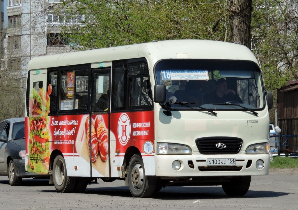 Ростовская область, Hyundai County SWB C08 (РЗГА) № 210