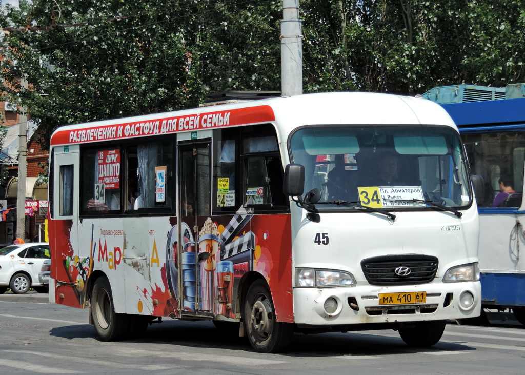 Ростовская область, Hyundai County LWB C09 (ТагАЗ) № 45