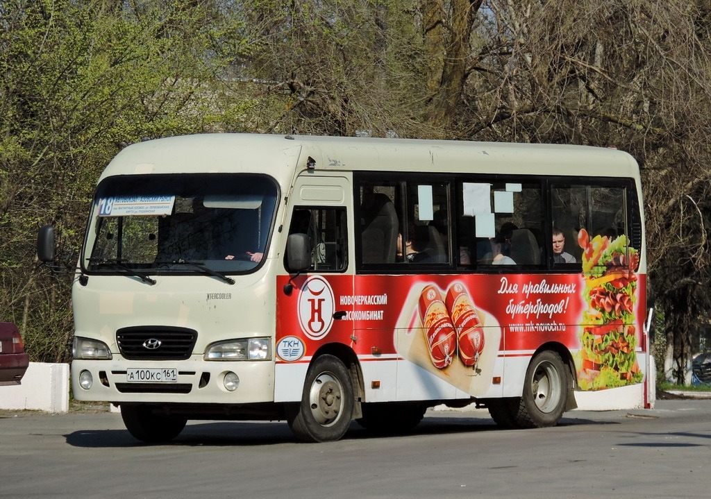 Ростовская область, Hyundai County SWB C08 (РЗГА) № 210