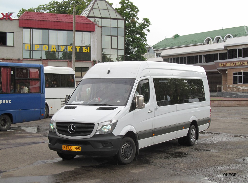 Витебская область, Луидор-223612 (MB Sprinter) № 2 ТАХ 5755