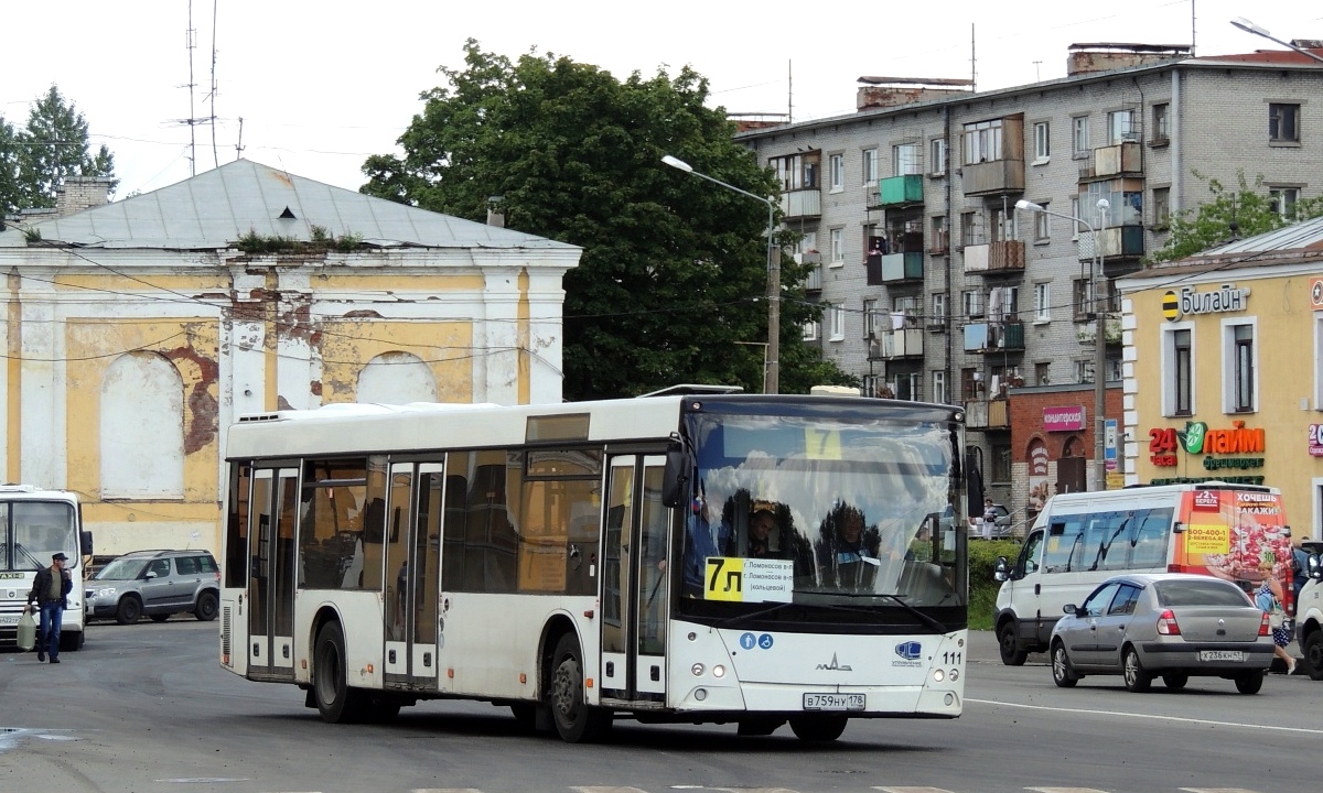 Санкт-Петербург, МАЗ-203.067 № 111