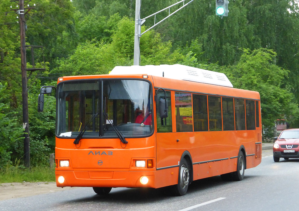 Нижегородская область — Новые автобусы