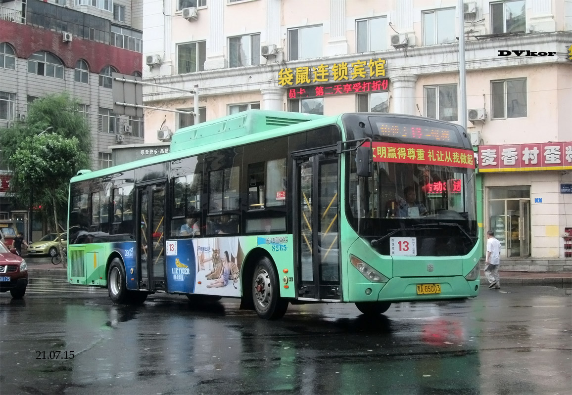 Китай, Zhong Tong LCK6125HGC № 8265