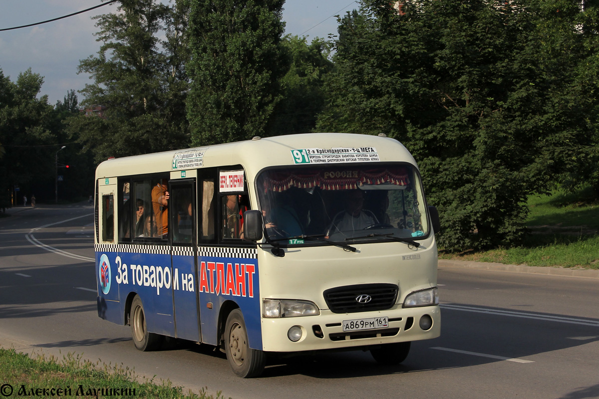 Ростовская область, Hyundai County SWB C08 (РЗГА) № А 869 РМ 161