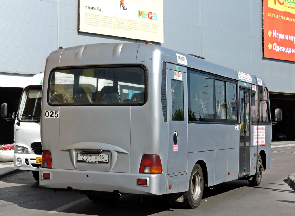 Ростовская область, Hyundai County LWB C11 (ТагАЗ) № 025