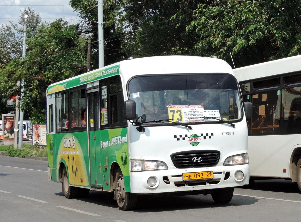 Ростовская область, Hyundai County LWB C09 (ТагАЗ) № МЕ 093 61