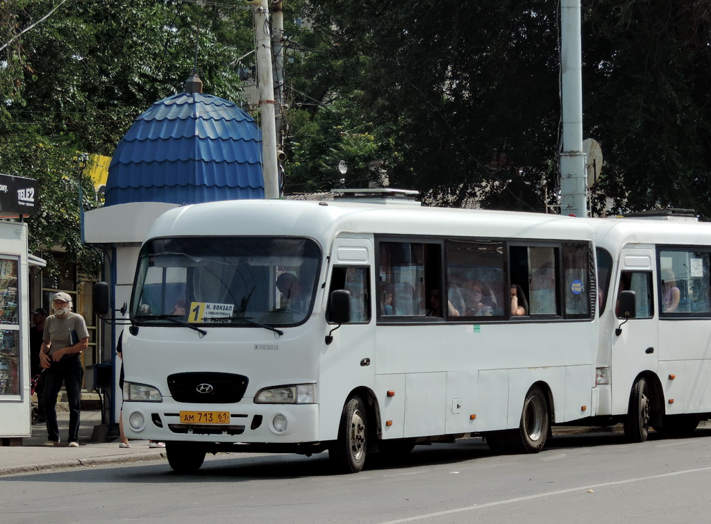 Ростовская область, Hyundai County LWB C11 (ТагАЗ) № АМ 713 61