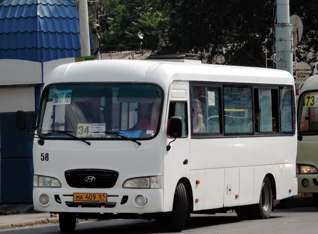 Ростовская область, Hyundai County LWB C09 (ТагАЗ) № 58