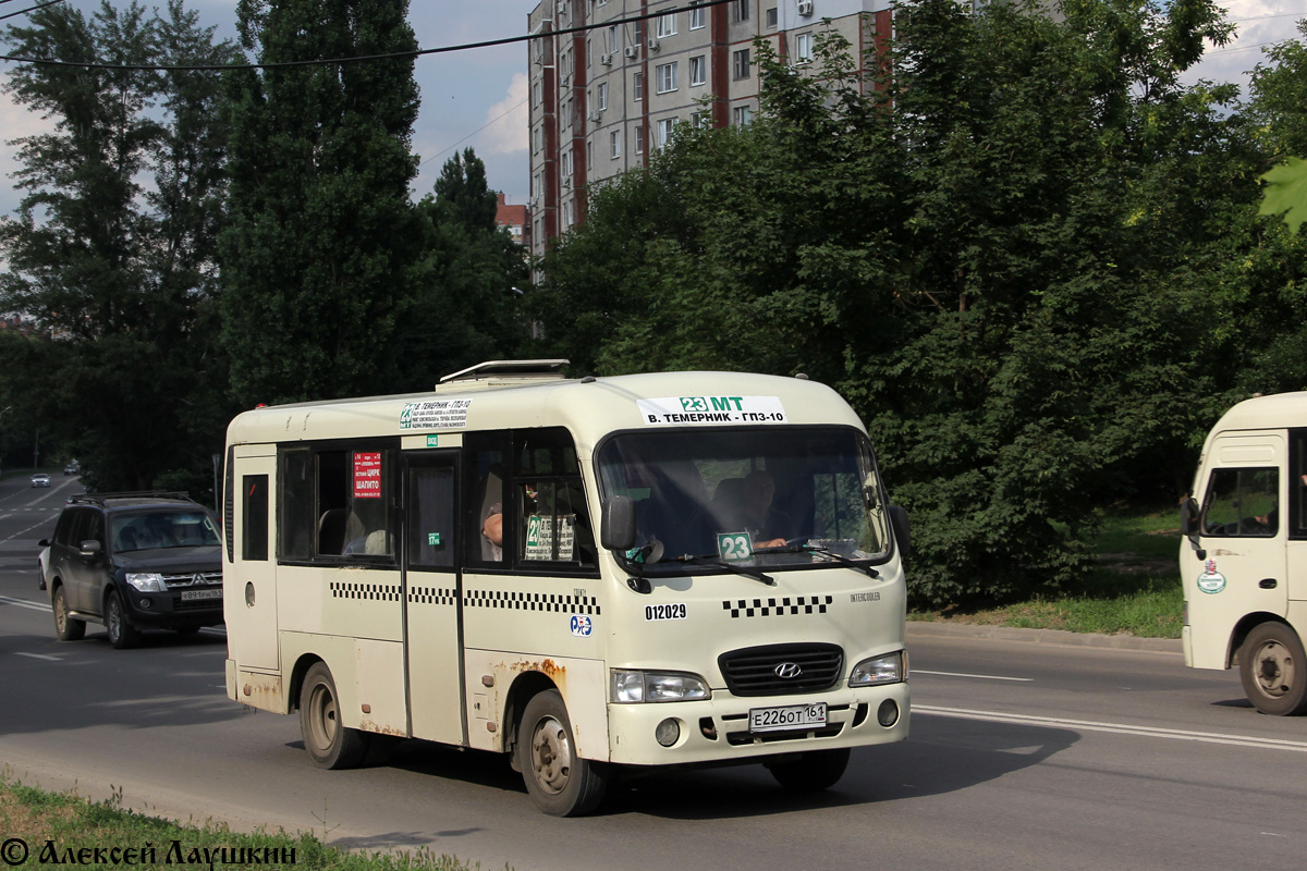 Ростовская область, Hyundai County SWB C08 (РЗГА) № 012029