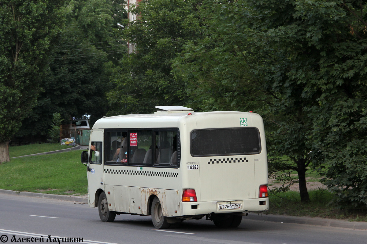 Ростовская область, Hyundai County SWB C08 (РЗГА) № 012029