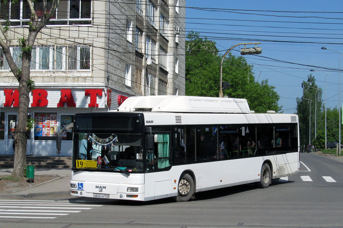 Пермский край, MAN A21 NL313 CNG № В 602 СМ 159