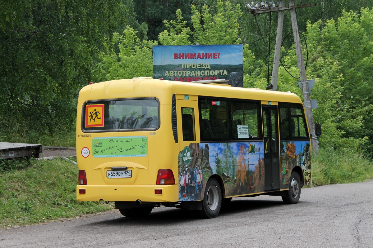 Красноярский край, Hyundai County LWB C12 (ТагАЗ) № Р 559 ВУ 124