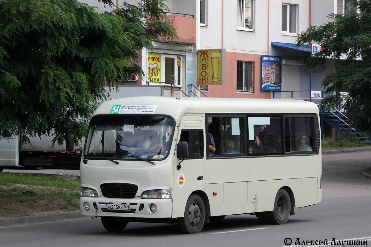 Ростовская область, Hyundai County SWB C08 (РЗГА) № 007293