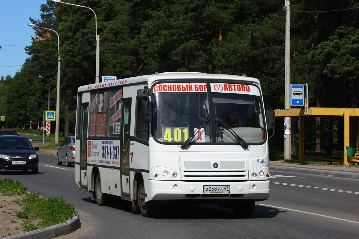 Ленинградская область, ПАЗ-320402-05 № В 258 УА 47