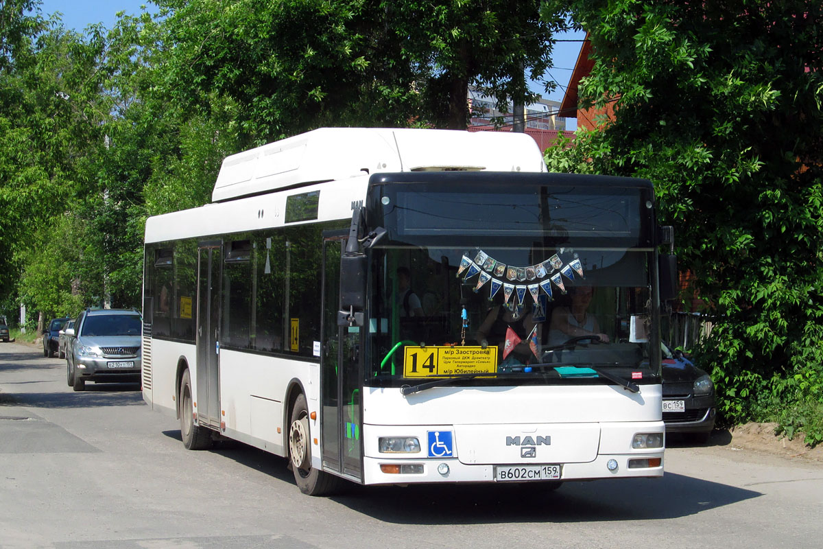 Пермский край, MAN A21 NL313 CNG № В 602 СМ 159