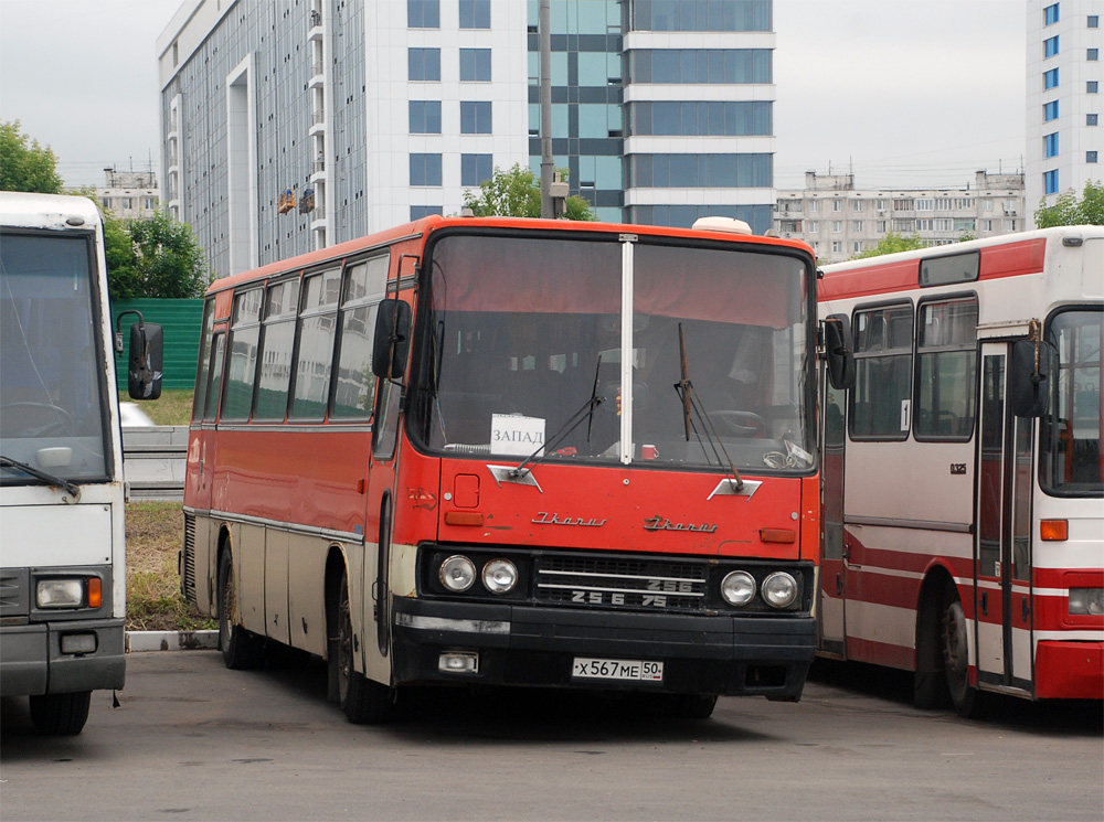 Московская область, Ikarus 256.54 № Х 567 МЕ 50