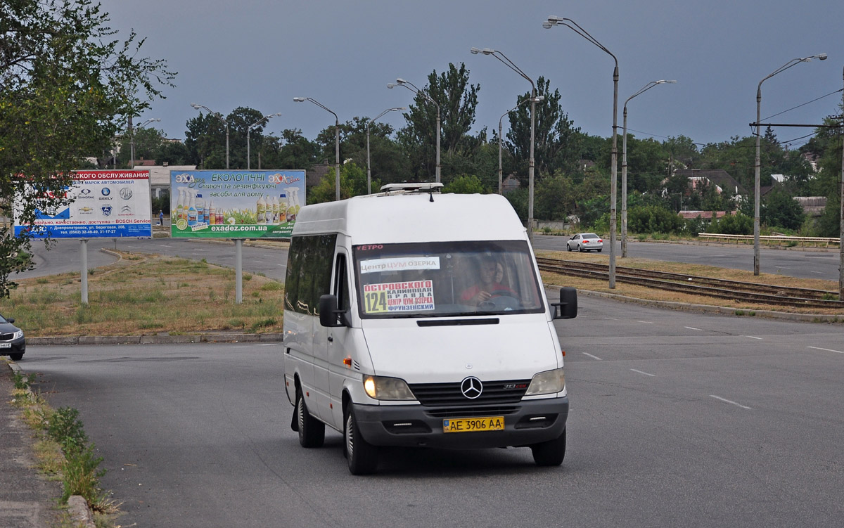 Днепропетровская область, Mercedes-Benz Sprinter W903 313CDI № AE 3906 AA