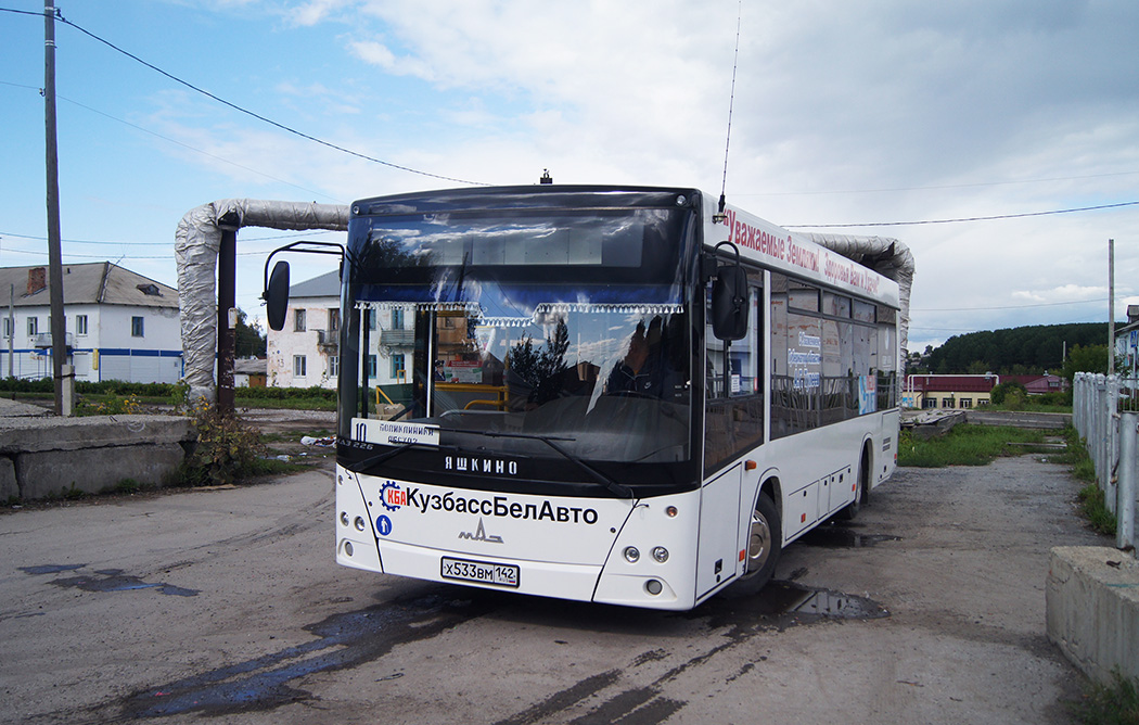 Кемеровская область - Кузбасс, МАЗ-226.068 № 31